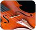 Violino