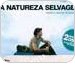 Cartaz do  filme Na Natureza Selvagem