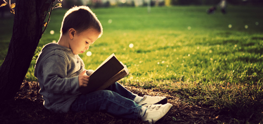 Menino sentado embaixo de uma rvore lendo livro