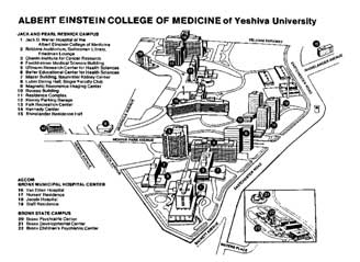 Imagem-de-mapa-para-o-colegio-de-Medicina-Albert-Einstein