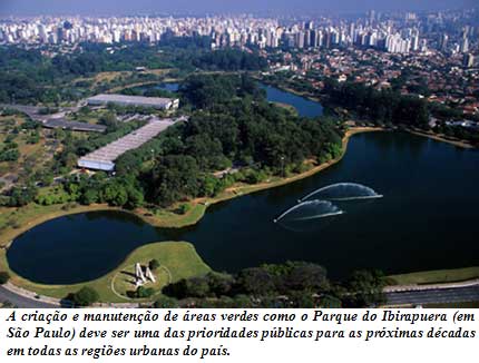 Imagem-do-Parque-do-Ibirapuera