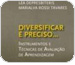 Capa do livro Diversificar  preciso em que aparece uma lousa com um apagador