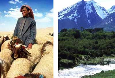 Imagem-de-Beduino-pastoreando-ovelhas-e-imagem-de-lugar-com-verde-e-montanhas